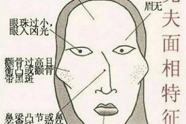 少奶奶命：揭开富贵命运背后的真实含义