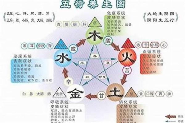 八字五行在命运中的重要性与解读技巧