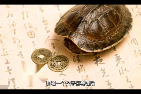 命水与命理学中的其他元素互动分析