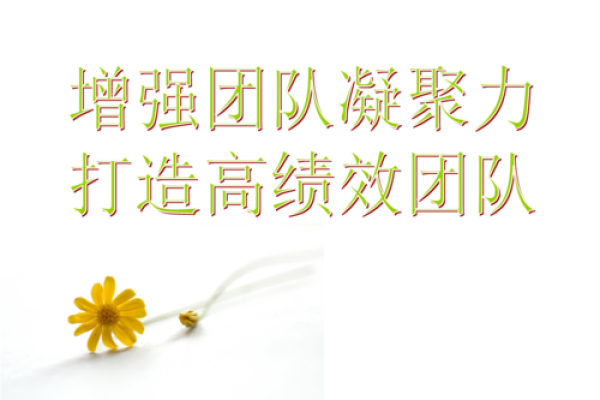 如何通过公司风水设计提升团队凝聚力
