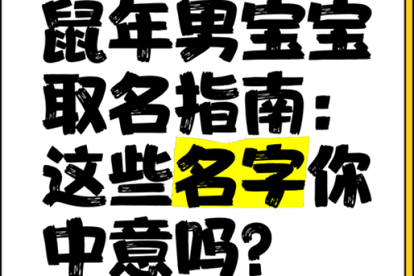 鼠年男宝宝名字的流行趋势