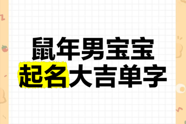 鼠年男宝宝名字的流行趋势