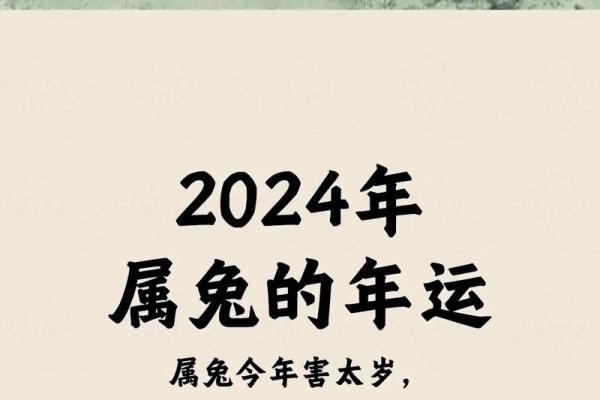 属兔人的事业、财富与感情运程全解