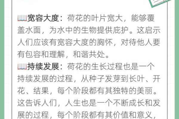 莲字的起源与在文学中的独特地位