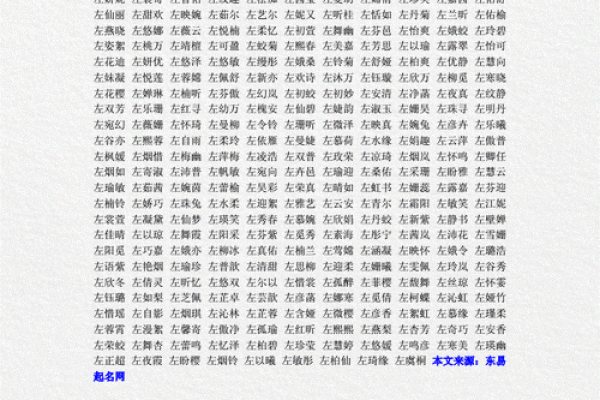 探讨左名字在中国命名中的文化价值