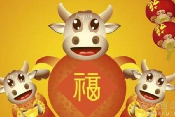 出生的猴人运势透析：突破与转机