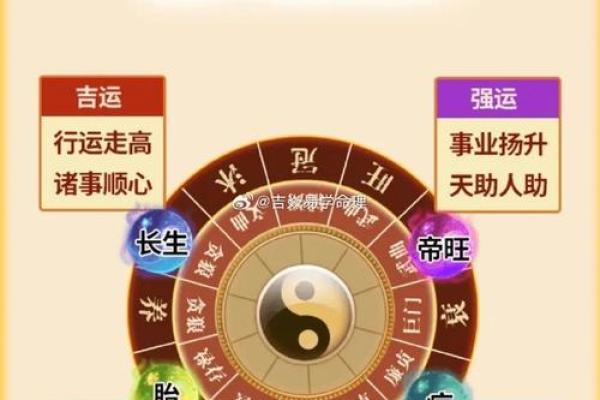 大贵的命会带来什么样的人生运势？