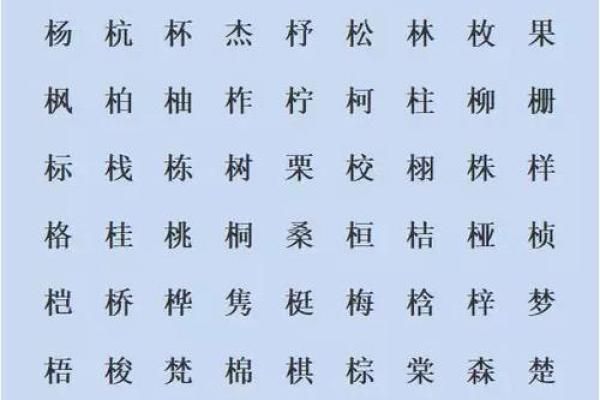 栩字五行属性解析及其相关寓意探讨