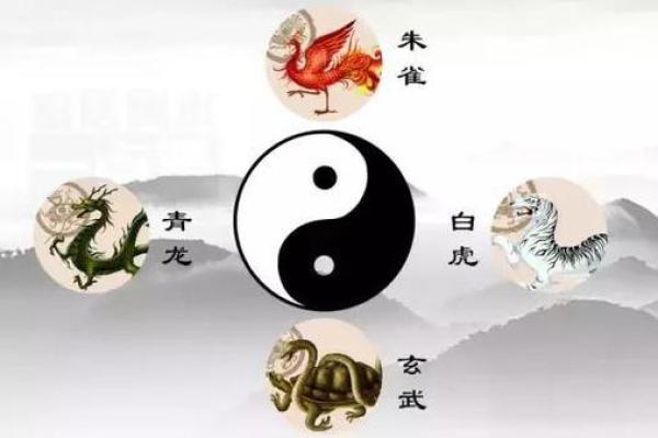 提升家居运势的必备风水套装选择指南