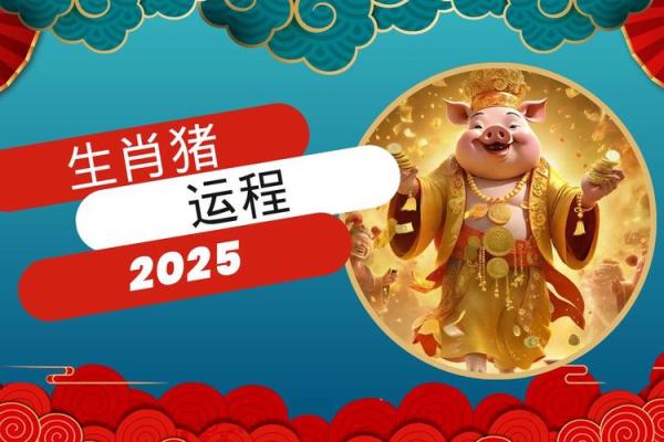 出生女猪事业与感情运势预测
