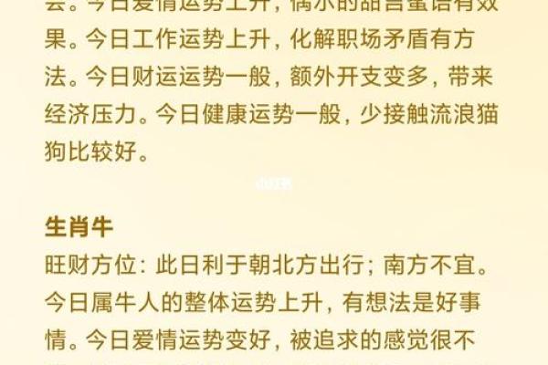 探索龙今日运势：职场、感情全面解读