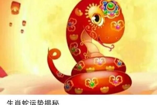 生肖每月运程解析：顺势而为的智慧