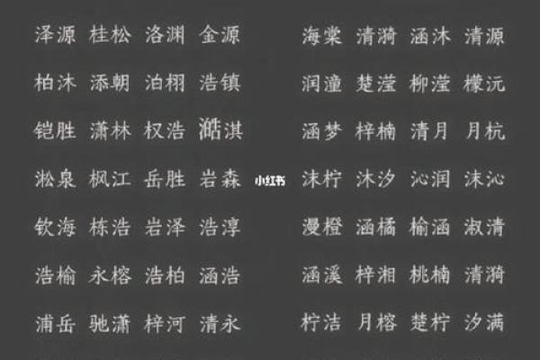 宝宝名字大全：独特又有寓意的选择