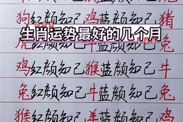 十二生肖运势全解析