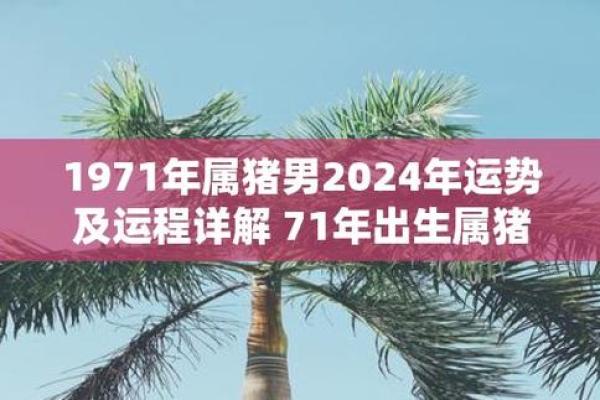 猪年运势预测：如何把握幸运与挑战