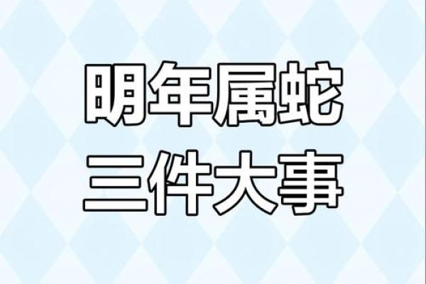 属蛇运势：职场晋升的好时机