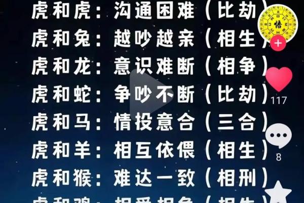 女牛男虎婚姻配对分析：性格互补还是冲突重重？
