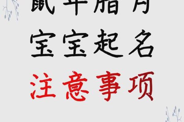 鼠年男宝宝取名字的五大秘诀