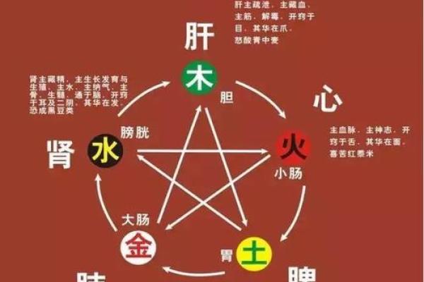 吴字五行属性解析及其在命理中的影响