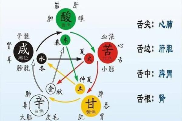硕字的五行属性解析及其在命理中的意义