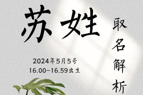 苏字五行属性解析及其对命运的影响