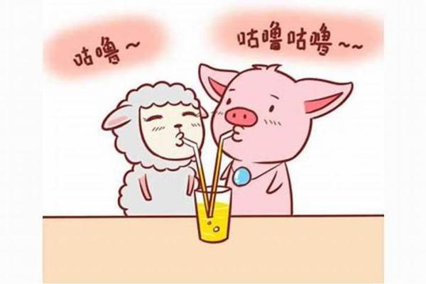 女猪与男羊婚姻的优缺点分析
