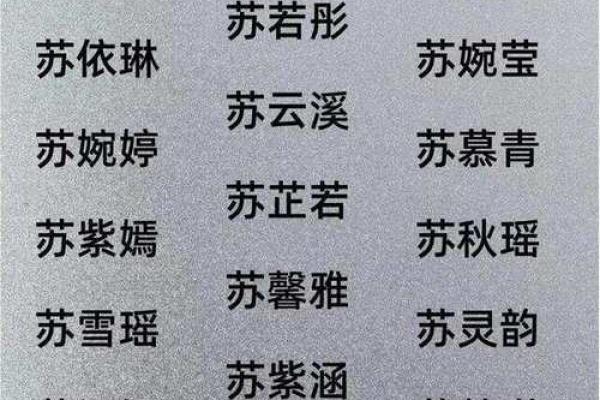 为小说注入生命力，女主名字大全全方位解析