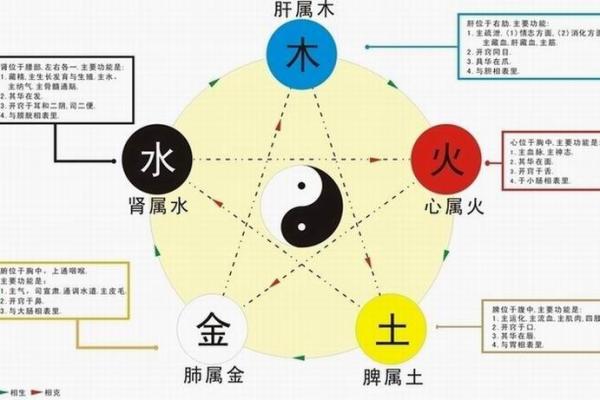 五行相生顺序及其在日常生活中的应用解析