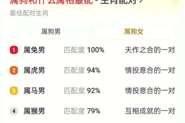属狗与属虎的性格差异与互补：适合做伴侣吗？