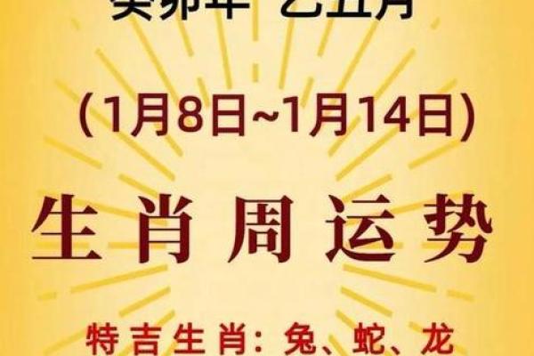 属鼠运势预测：全年运程如何影响你的生活