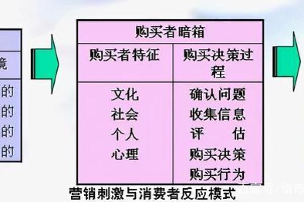 大名字如何影响消费者的购买决策