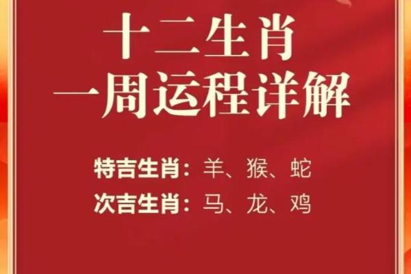 肖狗每月运势解析：从开年到年末的运程变化