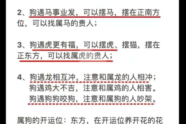 属虎与属狗的婚配分析：是否合适的关系揭秘