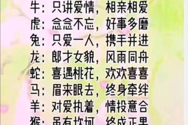 兔鼠婚配的婚姻运势与生活解析
