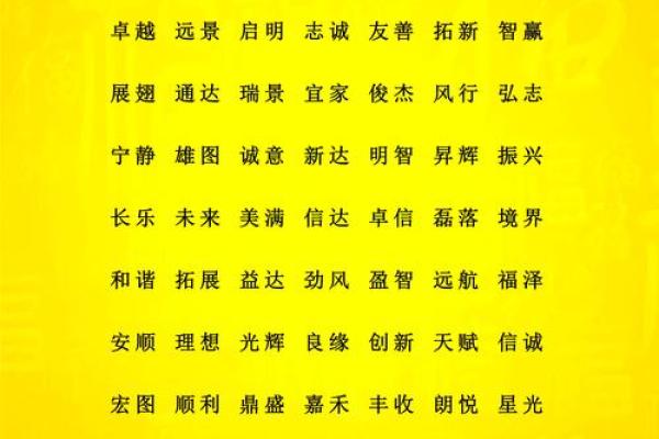 公司起名指南：从创意到实践的全流程