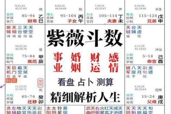八字命理解析：如何通过八字看透一生的运势走势