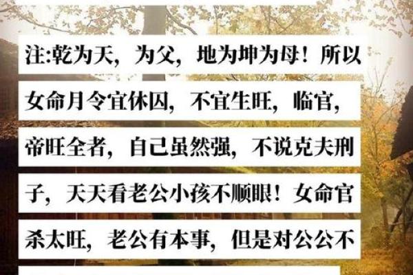 皇后八字解读：揭示命运背后的深层秘密