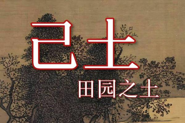 五行属土的行业发展前景与挑战分析