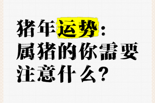 猪年运势揭秘：事业财运健康全面分析