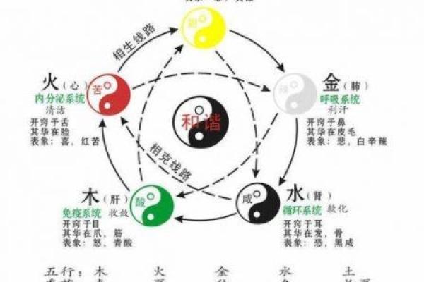 麟字的五行属性解析与深度分析