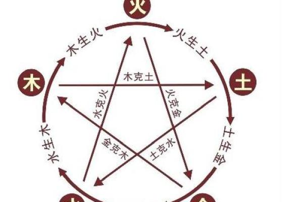水命虎的特点与命运解析