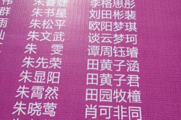 单字名字在现代社会的独特地位