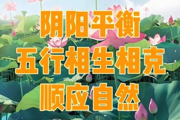 风水书解密如何利用环境改善健康运