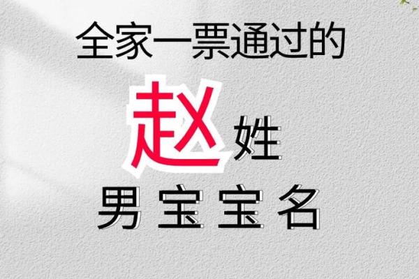 给宝宝起个有意义的赵姓名字，这些推荐不可错过