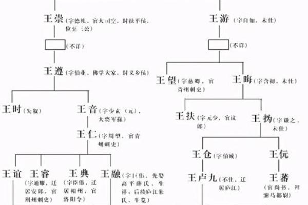 王五行属性揭秘：王姓人物的五行分析