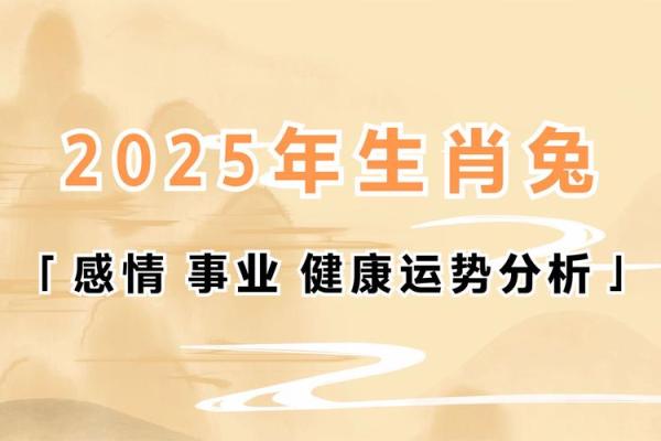 属兔人的运势变化及生活调整建议