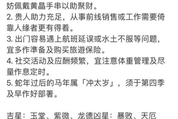 鼠人运势：出生者的命运走向