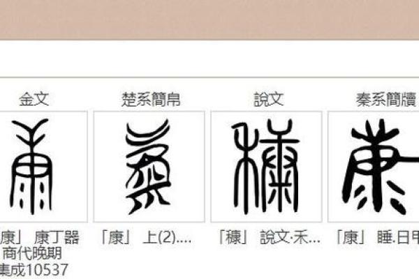 从康字看中国传统姓名文化的魅力
