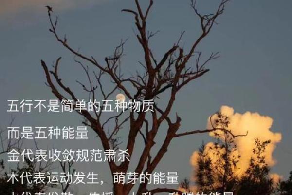 五行缺金如何补充最有效的方法解析