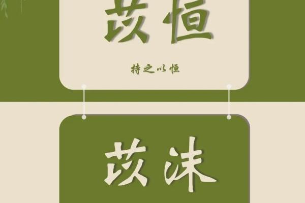 苡字的五行属性解析与命理影响